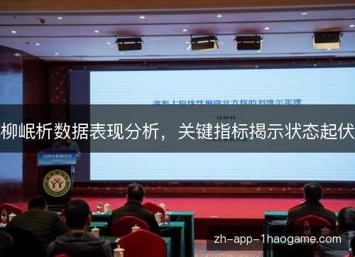 柳岷析数据表现分析,关键指标揭示状态起伏 柳岷析数据表现分析,关键指标揭示状态起伏